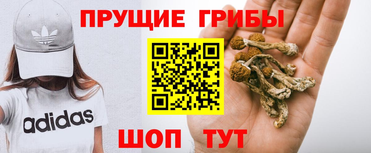 Псилоцибиновые грибы Magic Shrooms  Галлюциногенные грибы Psilocybe  Вход с VPN  Бузулук 